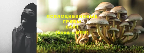 дживик Куртамыш