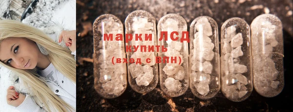 СК Заводоуковск