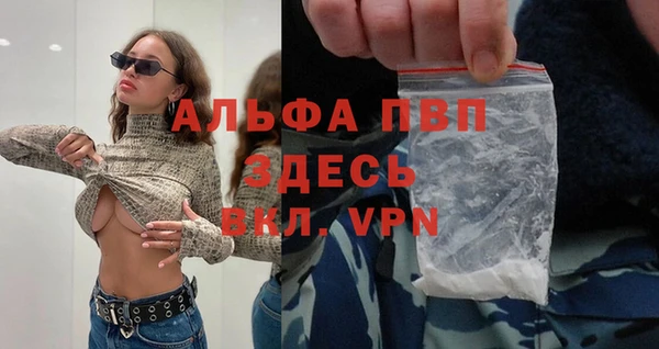 СК Заводоуковск
