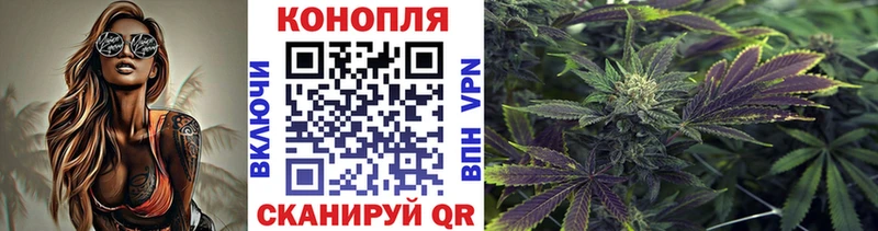 продажа наркотиков Судогда МАРИХУАНА Amnesia